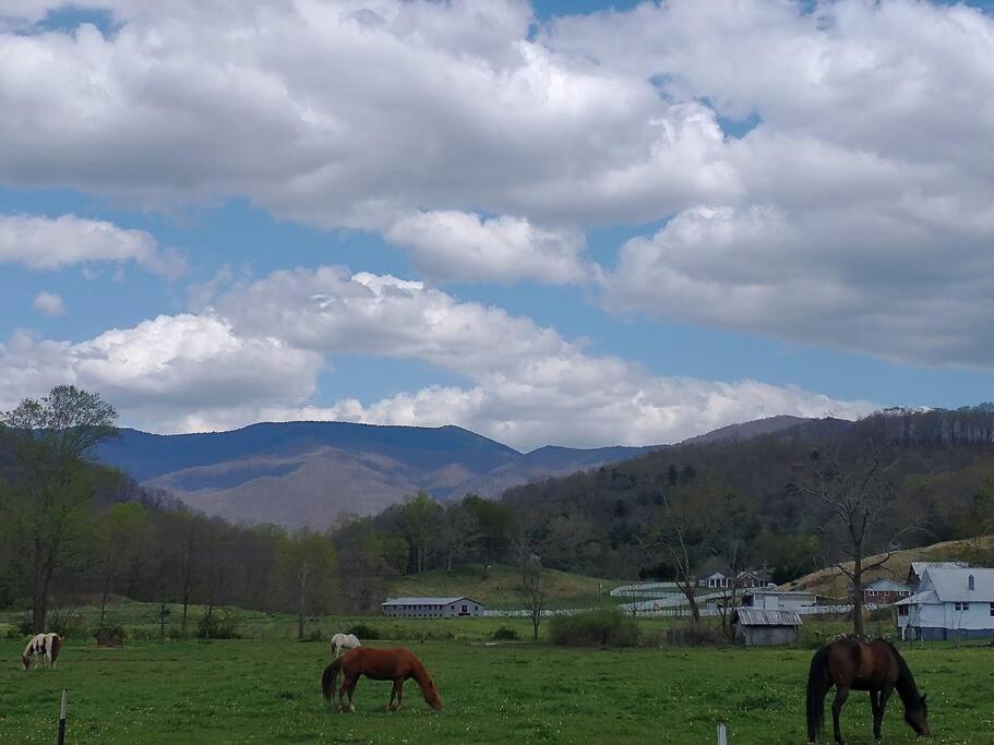 Villa Country Mountain Escape! Barnardsville Exterior foto