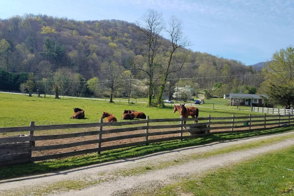 Villa Country Mountain Escape! Barnardsville Exterior foto