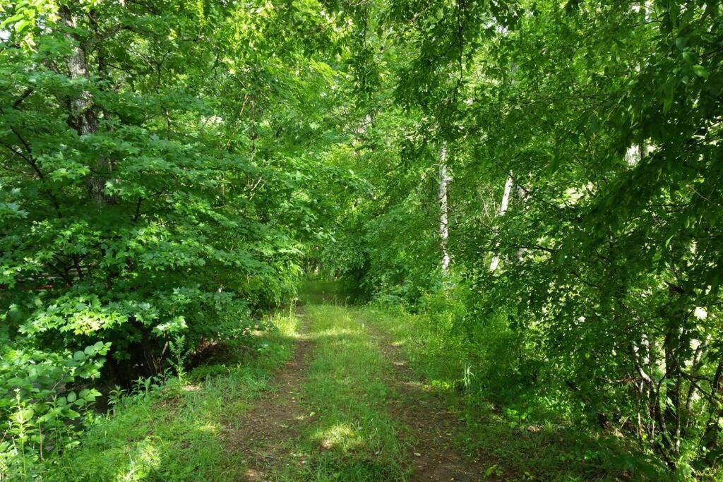 Villa Country Mountain Escape! Barnardsville Exterior foto